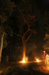Macbeth en Foret 70 * 5760 x 3840 * (8.04MB)